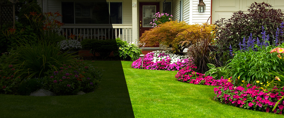 Hope Landscapers